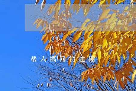 帮人搞网贷逾期