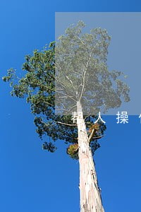 帮人操作股票违法