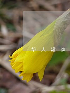 帮人罐煤气违法