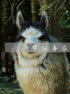 帮从事灰色行业的人转钱违法吗 帮从事灰色行业的人转钱违法吗