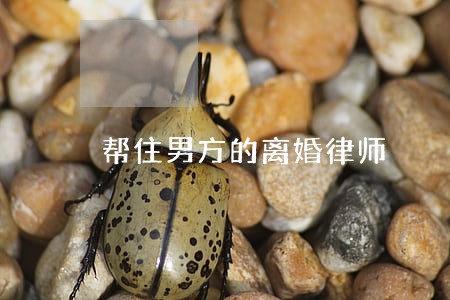 帮住男方的离婚律师 帮住男方的离婚律师