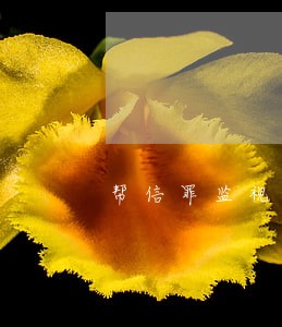 帮信罪监视居住多久能判下来 帮信罪监视居住多久能判下来
