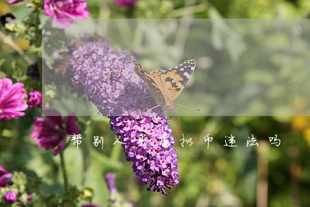 帮别人买虚拟币违法吗 帮别人买虚拟币违法吗