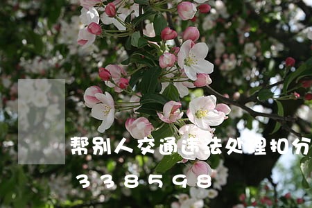 帮别人交通违法处理扣分/2023020338598