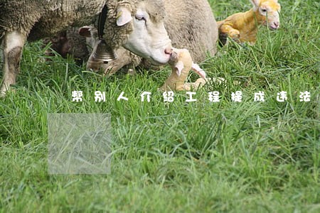 帮别人介绍工程提成违法吗 帮别人介绍工程提成违法吗