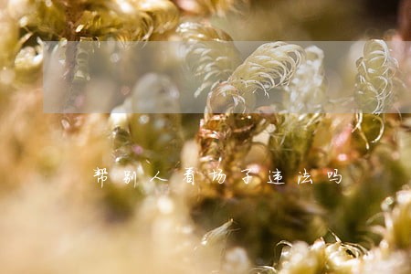 帮别人看场子违法吗 帮别人看场子违法吗