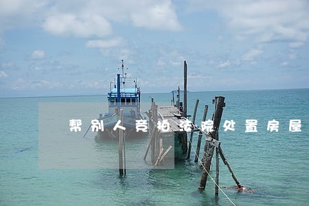 帮别人竞拍法院处置房屋可以吗