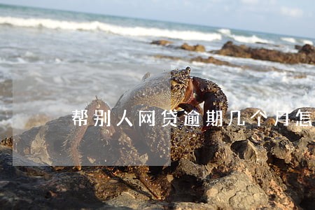 帮别人网贷逾期几个月怎么办 帮别人网贷逾期几个月怎么办