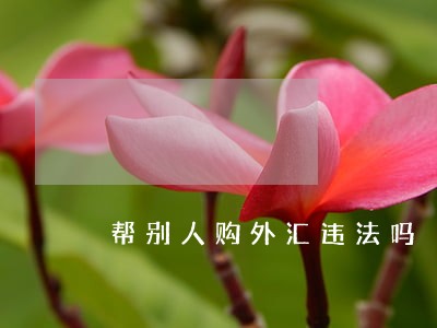 帮别人购外汇违法吗 帮别人购外汇违法吗
