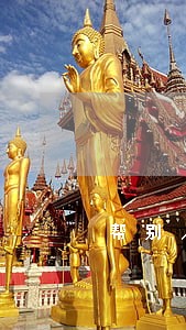 帮别人贷款担保逾期15天 帮别人贷款担保逾期15天