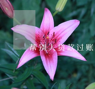 帮别人贷款过账违法吗 帮别人贷款过账违法吗