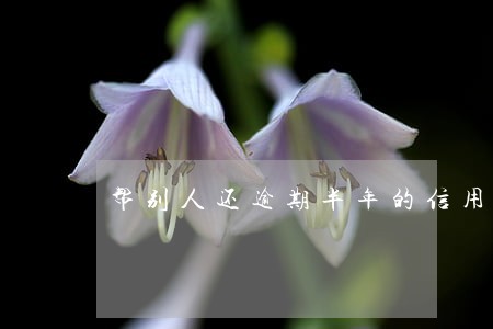 帮别人还逾期半年的信用卡 帮别人还逾期半年的信用卡