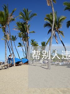 帮别人违法屠牛