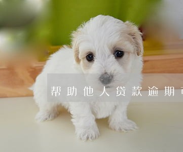 帮助他人贷款逾期可以异议吗 帮助他人贷款逾期可以异议吗
