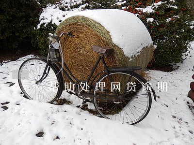 帮助处理网贷逾期 帮助处理网贷逾期