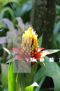 帮助解决信用卡逾期 帮助解决信用卡逾期