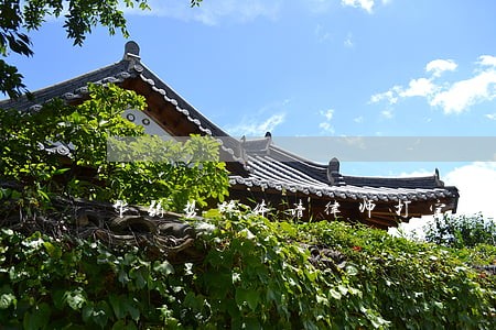 帮弱势群体请律师打官司 帮弱势群体请律师打官司