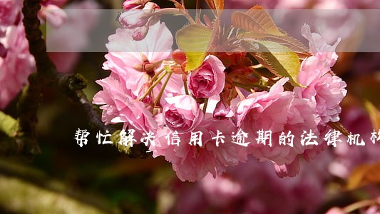 帮忙解决信用卡逾期的法律机构 帮忙解决信用卡逾期的法律机构