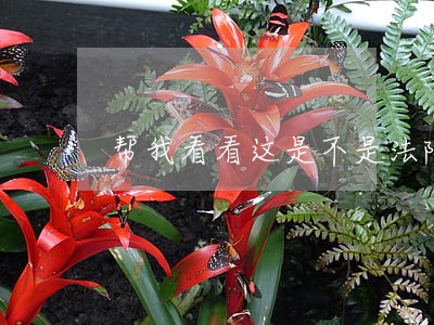 帮我看看这是不是法院的真实文件 帮我看看这是不是法院的真实文件