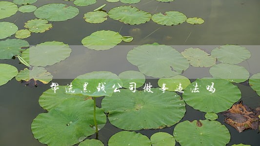 帮洗黑钱公司做事违法吗 帮洗黑钱公司做事违法吗
