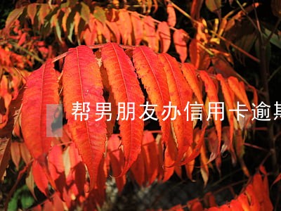 帮男朋友办信用卡逾期了 帮男朋友办信用卡逾期了