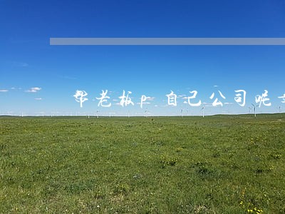 帮老板p自己公司呢章违法吗 帮老板p自己公司呢章违法吗
