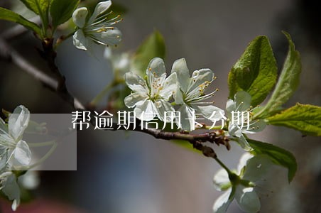 帮逾期信用卡分期 帮逾期信用卡分期