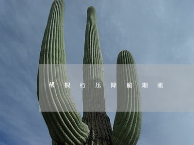 帮银行压降逾期账 帮银行压降逾期账