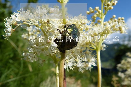 帮银行压降逾期账款率