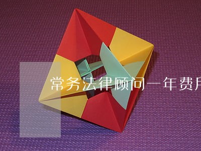常务法律顾问一年费用 常务法律顾问一年费用