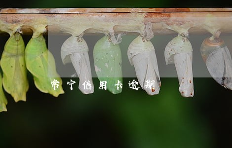 常宁信用卡逾期 常宁信用卡逾期