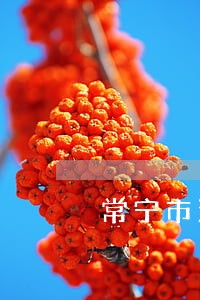 常宁市法院人员名单陈 常宁市法院人员名单陈