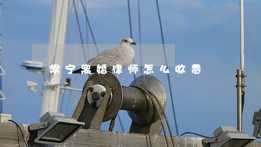 常宁离婚律师怎么收费 常宁离婚律师怎么收费
