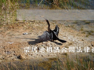 常居地租赁合同法律咨询