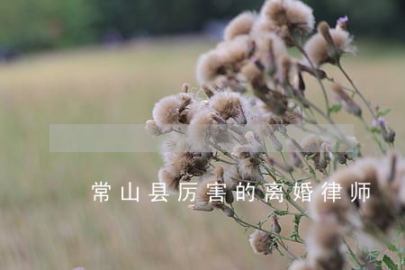 常山县厉害的离婚律师 常山县厉害的离婚律师