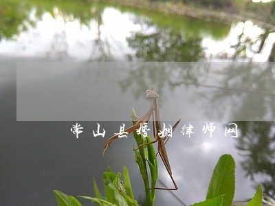 常山县婚姻律师网 常山县婚姻律师网