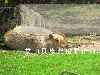 常山县集资犯罪律师收费 常山县集资犯罪律师收费