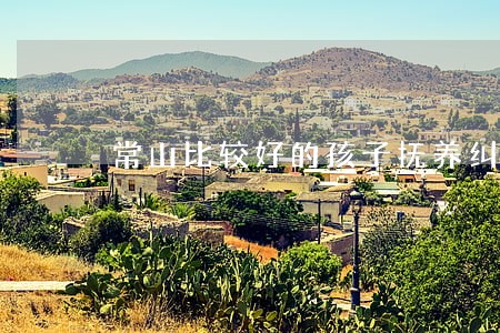 常山比较好的孩子抚养纠纷律师 常山比较好的孩子抚养纠纷律师