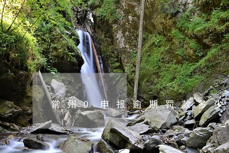 常州0申报逾期罚款多少 常州0申报逾期罚款多少