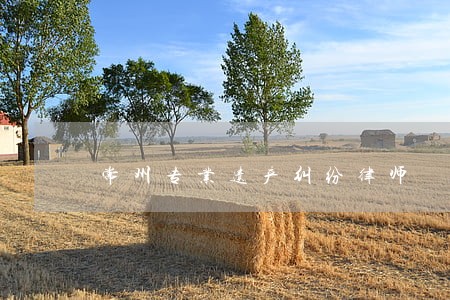 常州专业遗产纠纷律师 常州专业遗产纠纷律师
