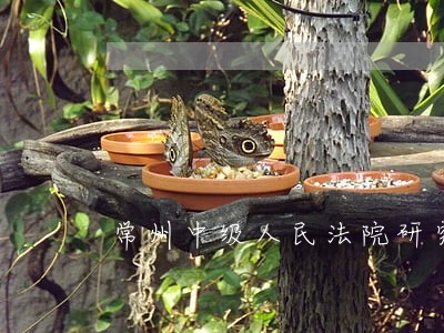 常州中级人民法院研究室 常州中级人民法院研究室