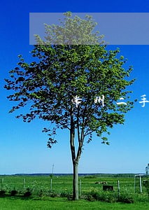 常州二手房合同律师费用 常州二手房合同律师费用