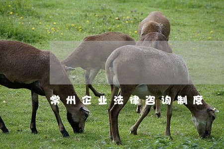 常州企业法律咨询制度 常州企业法律咨询制度