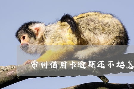 常州信用卡逾期还不起怎么办 常州信用卡逾期还不起怎么办