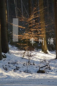 常州债务法律咨询案例 常州债务法律咨询案例
