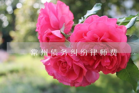 常州债务纠纷律师费 常州债务纠纷律师费