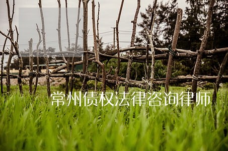 常州债权法律咨询律师 常州债权法律咨询律师