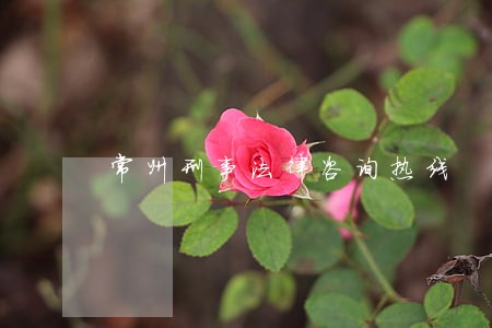 常州刑事法律咨询热线 常州刑事法律咨询热线