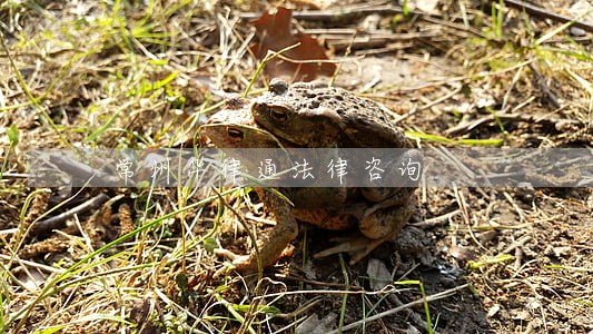 常州华律通法律咨询 常州华律通法律咨询
