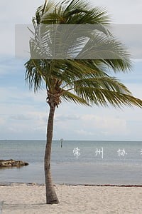 常州协和永昌蚊司法